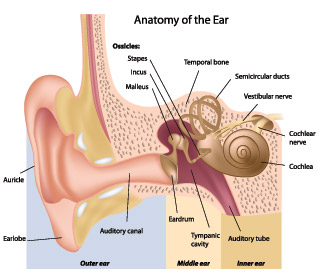 Ear-Problems